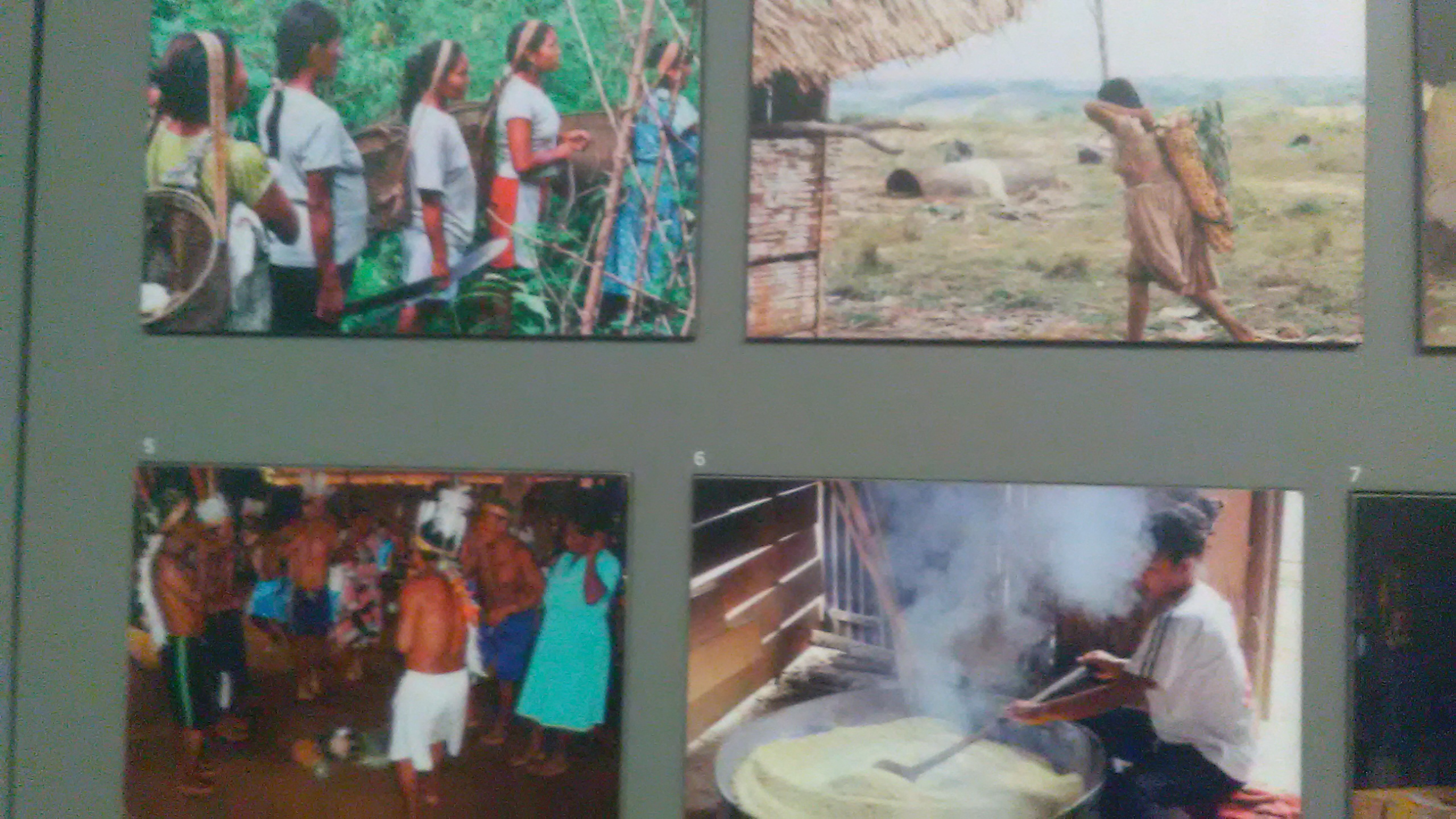 Image of indigenous lives in Bogotá's Museo Nacional